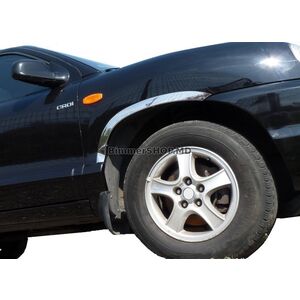 Накладки на арки (4 шт, нержавейка) Hyundai Santa Fe 1 2000-2006 гг.