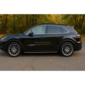 Боковые подножки пороги (2 шт., алюминий) Porsche Cayenne 2018- гг.