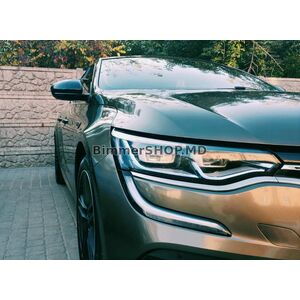 Накладки на Зеркала BMW-Style (2 шт) Renault Talisman 2015-2022 гг.