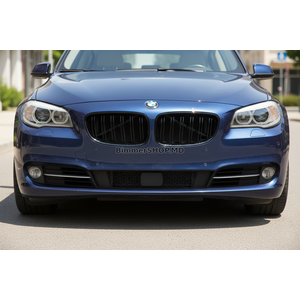 Ноздри M-Look (Черный Глянец) BMW 5 серия F07 2009–2017 гг.