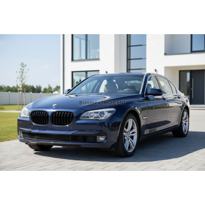 Ноздри M-Look (Черный Глянец) BMW 7 серия F01/F02 2008-2015 гг.